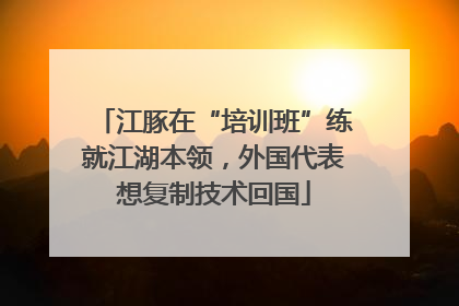 江豚在“培训班”练就江湖本领，外国代表想复制技术回国