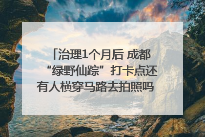 治理1个月后 成都“绿野仙踪”打卡点还有人横穿马路去拍照吗？｜民情瞭望