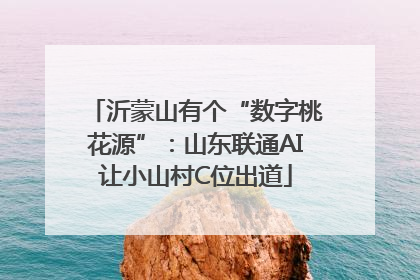 沂蒙山有个“数字桃花源”：山东联通AI让小山村C位出道