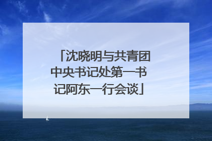沈晓明与共青团中央书记处第一书记阿东一行会谈