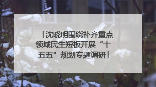 沈晓明围绕补齐重点领域民生短板开展“十五五”规划专题调研