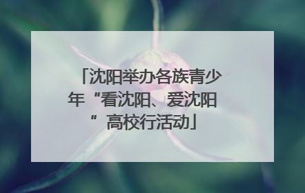 沈阳举办各族青少年“看沈阳、爱沈阳”高校行活动