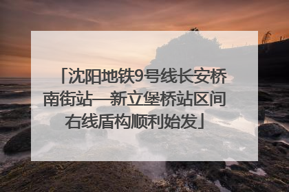 沈阳地铁9号线长安桥南街站—新立堡桥站区间右线盾构顺利始发