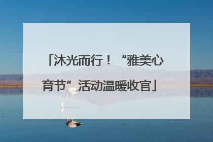 沐光而行！“雅美心育节”活动温暖收官