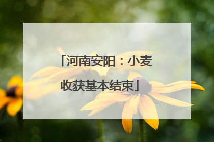 河南安阳：小麦收获基本结束