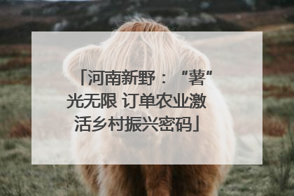 河南新野：“薯”光无限 订单农业激活乡村振兴密码