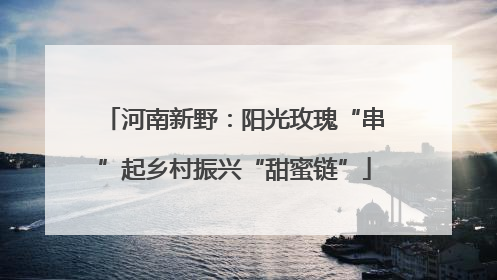 河南新野：阳光玫瑰“串”起乡村振兴“甜蜜链”