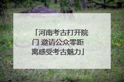 河南考古打开院门 邀请公众零距离感受考古魅力