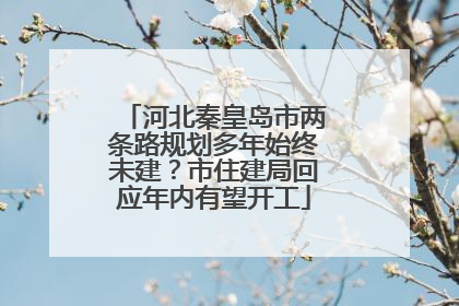 河北秦皇岛市两条路规划多年始终未建？市住建局回应年内有望开工