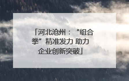 河北沧州：“组合拳”精准发力 助力企业创新突破