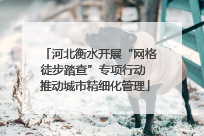 河北衡水开展“网格徒步踏查”专项行动 推动城市精细化管理