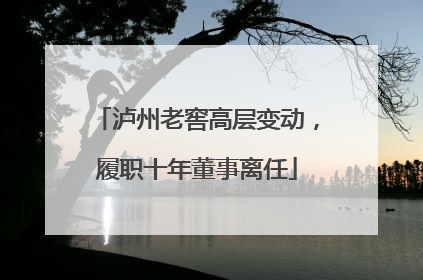 泸州老窖高层变动，履职十年董事离任