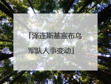 泽连斯基宣布乌军队人事变动