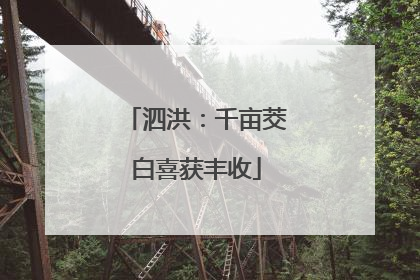 泗洪：千亩茭白喜获丰收
