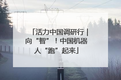 活力中国调研行｜向“智”！中国机器人“跑”起来