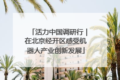 活力中国调研行｜在北京经开区感受机器人产业创新发展