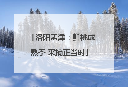 洛阳孟津：鲜桃成熟季 采摘正当时