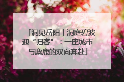 洞见岳阳丨洞庭碧波迎“归客”：一座城市与麋鹿的双向奔赴