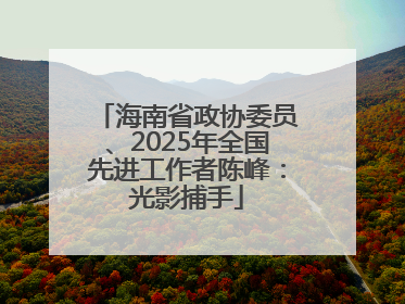 海南省政协委员、2025年全国先进工作者陈峰：光影捕手