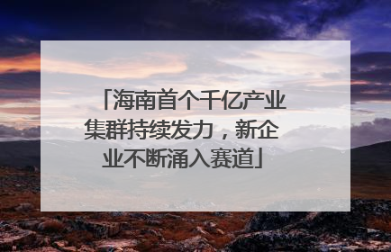 海南首个千亿产业集群持续发力，新企业不断涌入赛道