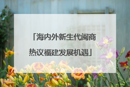 海内外新生代闽商热议福建发展机遇