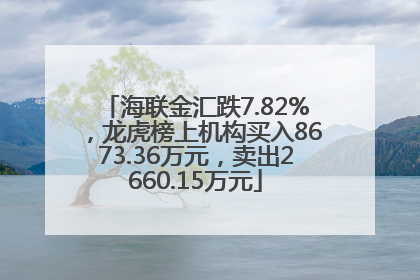 海联金汇跌7.82%，龙虎榜上机构买入8673.36万元，卖出2660.15万元