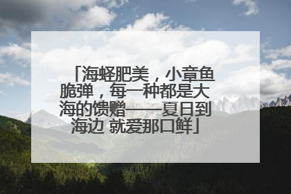 海蛏肥美，小章鱼脆弹，每一种都是大海的馈赠——夏日到海边 就爱那口鲜