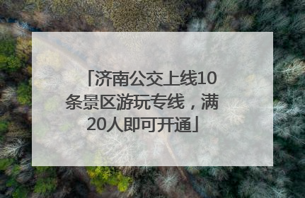 济南公交上线10条景区游玩专线，满20人即可开通