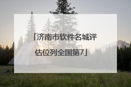 济南市软件名城评估位列全国第7