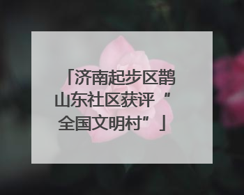 济南起步区鹊山东社区获评“全国文明村”
