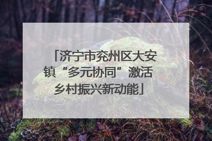 济宁市兖州区大安镇“多元协同”激活乡村振兴新动能