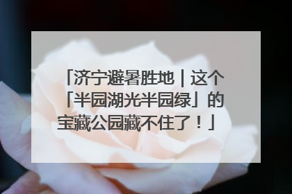 济宁避暑胜地｜这个「半园湖光半园绿」的宝藏公园藏不住了！