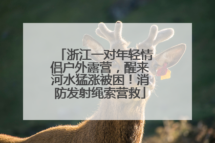浙江一对年轻情侣户外露营，醒来河水猛涨被困！消防发射绳索营救