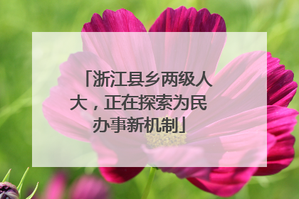 浙江县乡两级人大，正在探索为民办事新机制