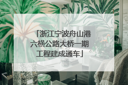 浙江宁波舟山港六横公路大桥一期工程建成通车