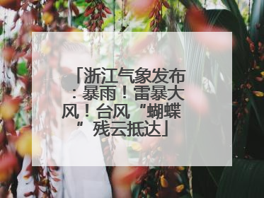 浙江气象发布：暴雨！雷暴大风！台风“蝴蝶”残云抵达