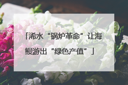 浠水“锅炉革命”让海鳗游出“绿色产值”