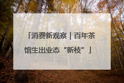 消费新观察｜百年茶馆生出业态“新枝”