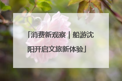 消费新观察｜船游沈阳开启文旅新体验