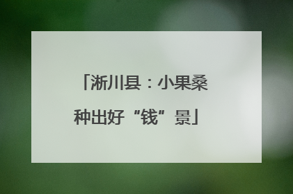 淅川县：小果桑种出好“钱”景