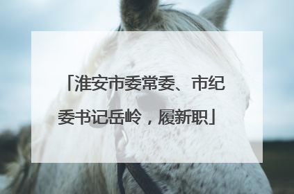 淮安市委常委、市纪委书记岳岭，履新职