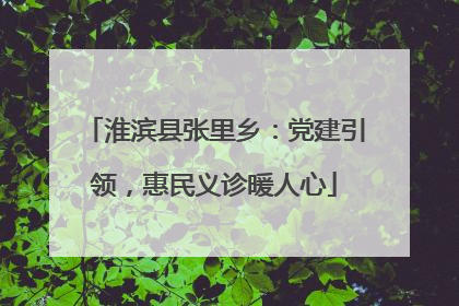 淮滨县张里乡：党建引领，惠民义诊暖人心