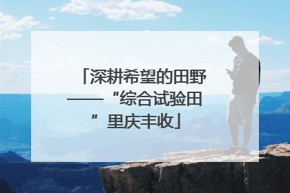 深耕希望的田野——“综合试验田”里庆丰收