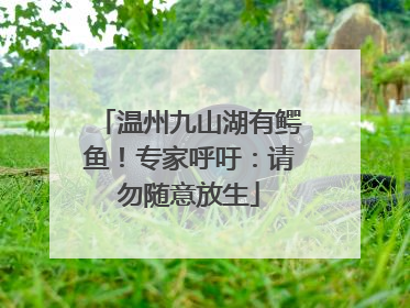 温州九山湖有鳄鱼！专家呼吁：请勿随意放生