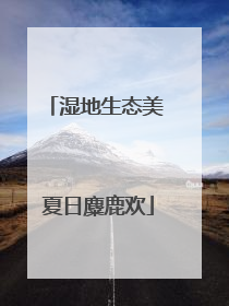湿地生态美 夏日麋鹿欢