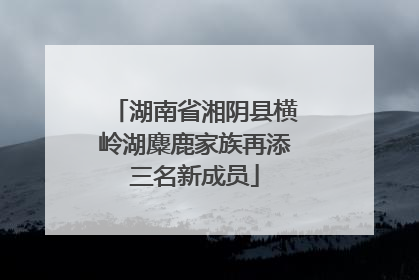 湖南省湘阴县横岭湖麋鹿家族再添三名新成员