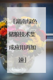 湖南绿色储粮技术集成应用再加速