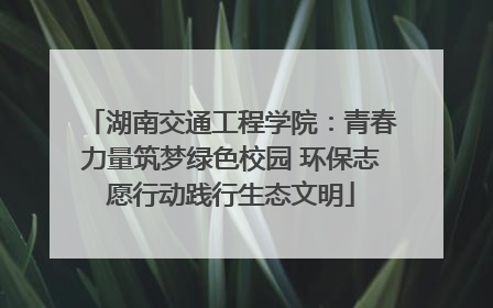 湖南交通工程学院：青春力量筑梦绿色校园 环保志愿行动践行生态文明
