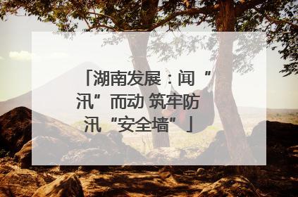 湖南发展：闻“汛”而动 筑牢防汛“安全墙”