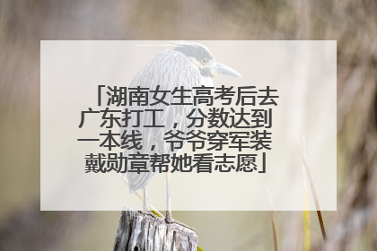 湖南女生高考后去广东打工，分数达到一本线，爷爷穿军装戴勋章帮她看志愿